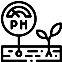 Focus on Soil Health