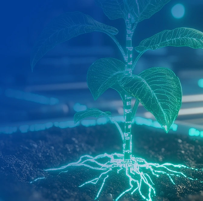 RAW MATERIAL EXTRACTION PROCESS