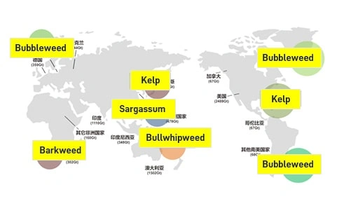 Alginate Oligosaccharide Derived from Globally Selected Brown Seaweeds