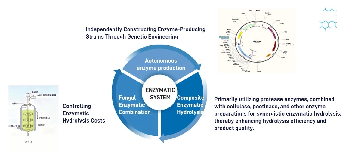 Raw Material Extraction Process