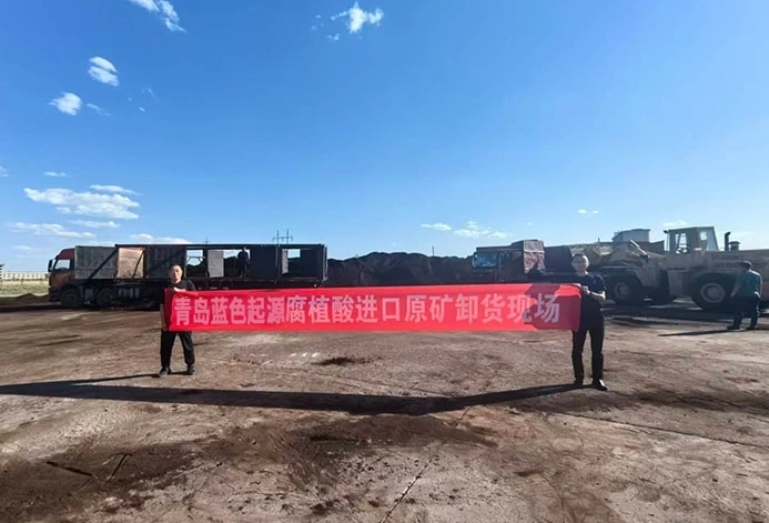 Alginate Oligosaccharide Derived from Globally Selected Brown Seaweeds