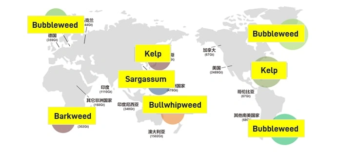 Alginate Oligosaccharide Derived from Globally Selected Brown Seaweeds
