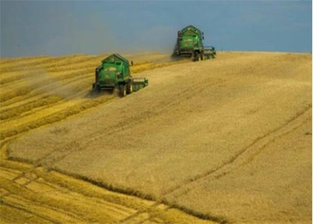 Chelated Trace Elements from the World's Largest Producer