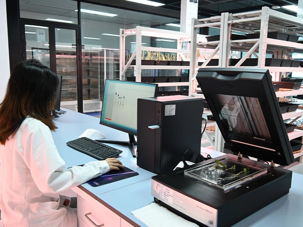 Bioassay Cultivation Matrix