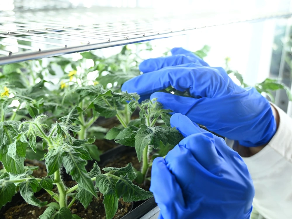 Bioassay Cultivation Matrix