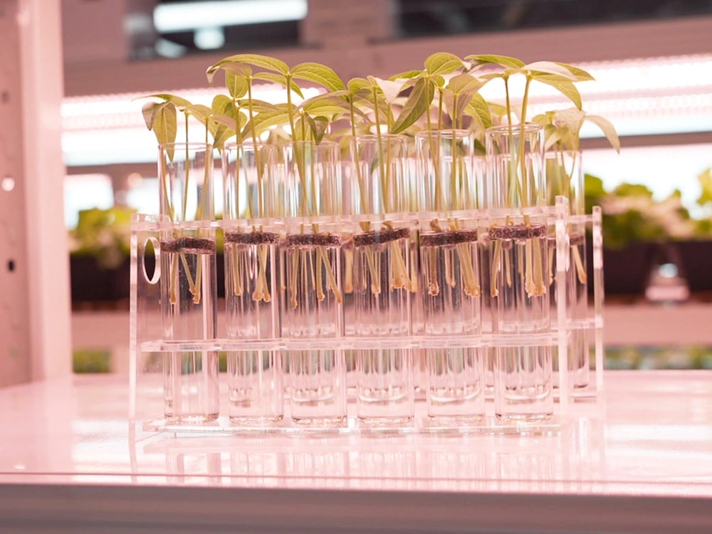 Bioassay Cultivation Matrix