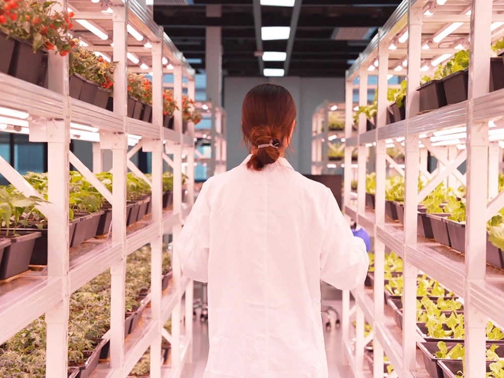 Bioassay Cultivation Matrix