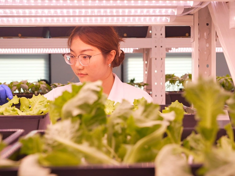 Bioassay Cultivation Matrix