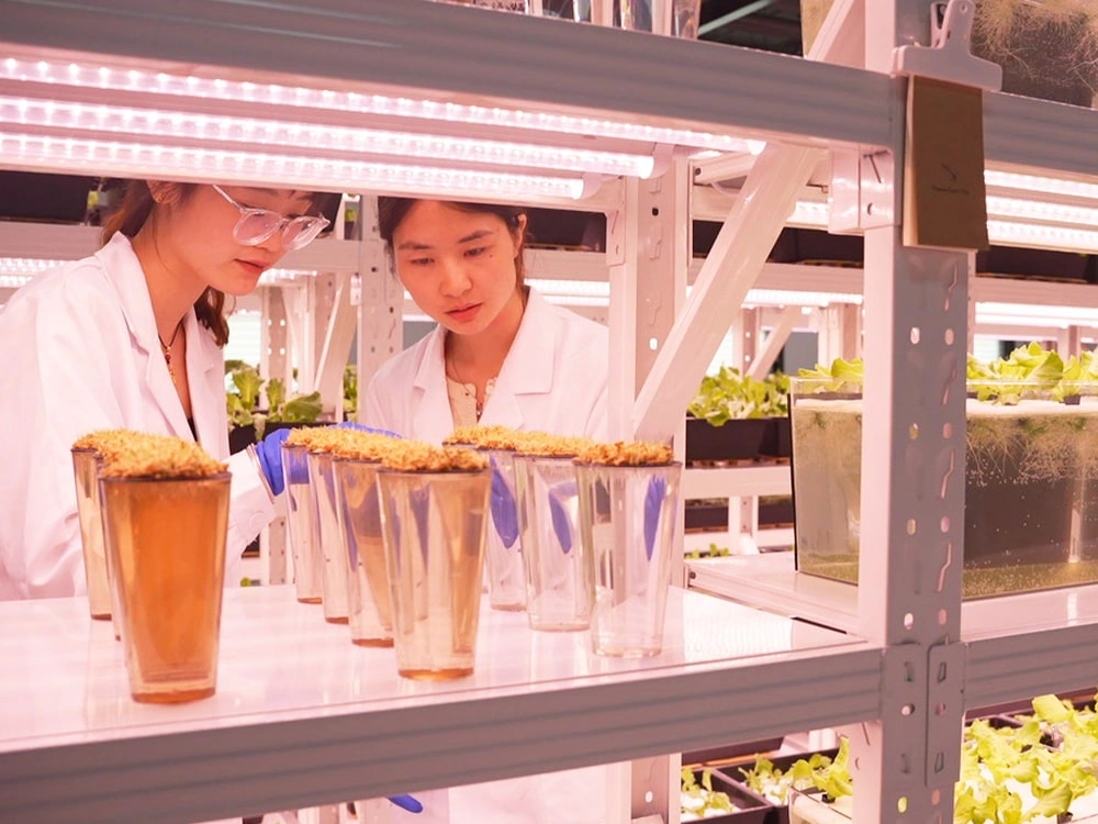 Bioassay Cultivation Matrix