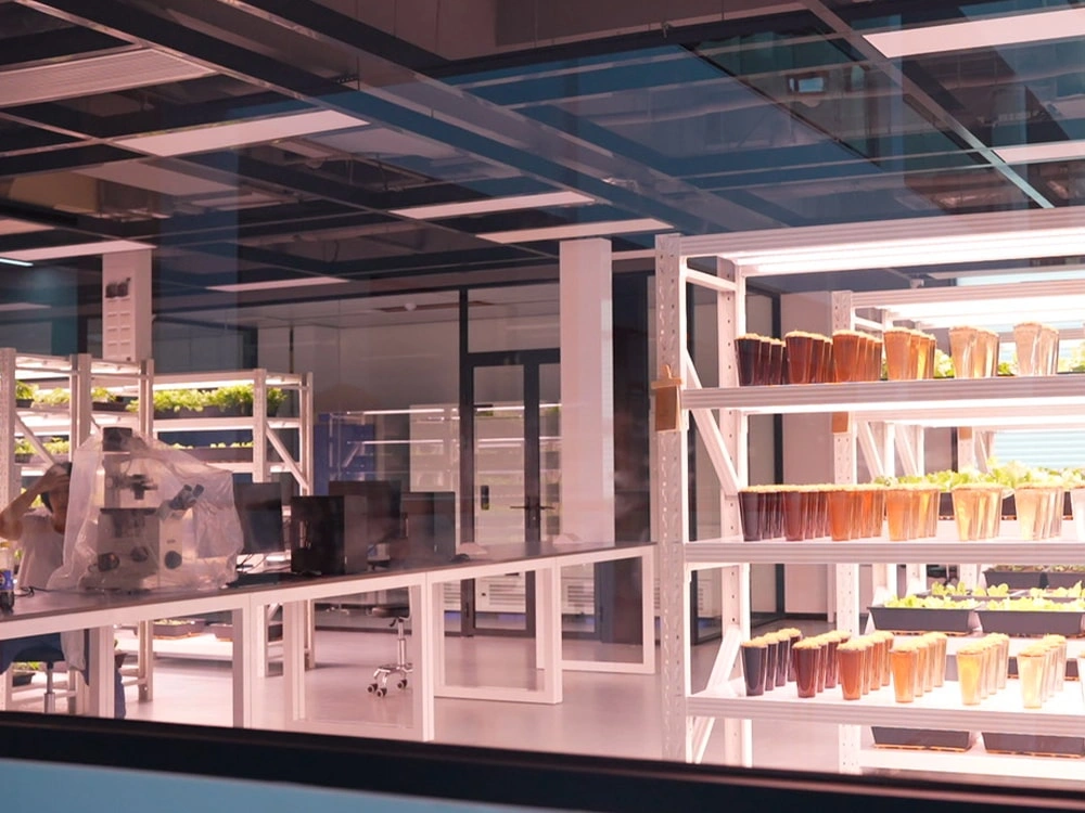 Bioassay Cultivation Matrix