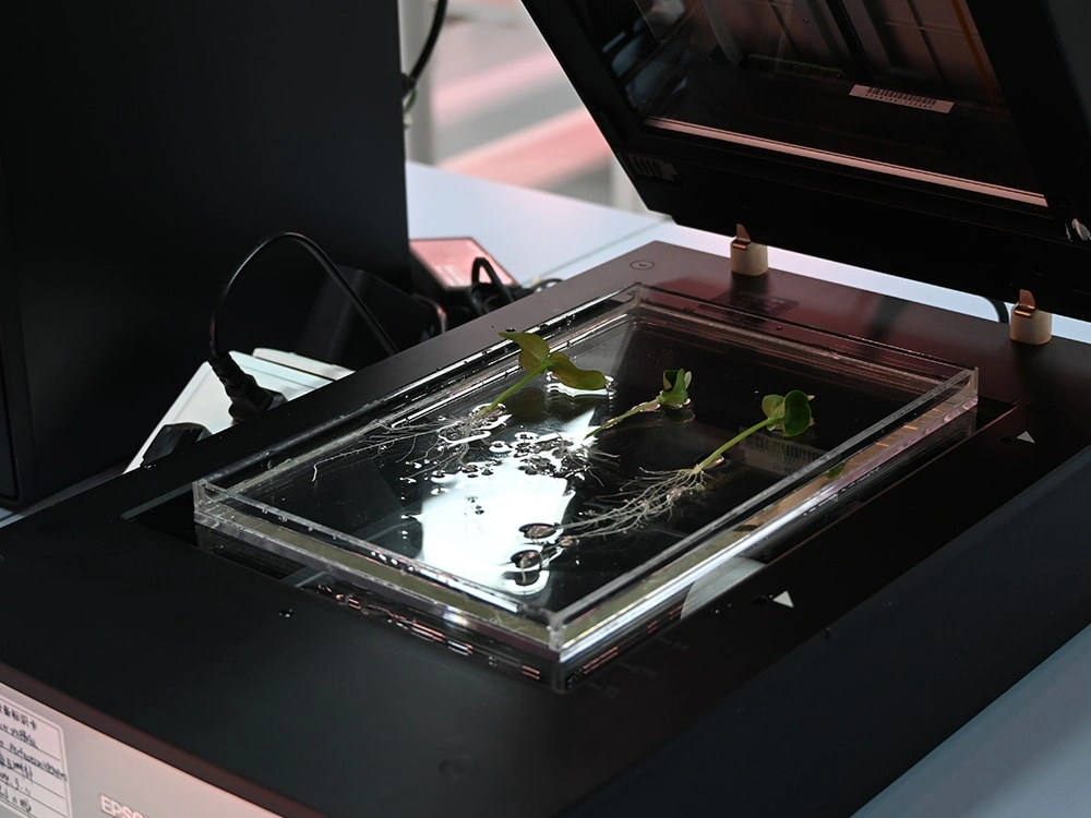 Bioassay Cultivation Matrix