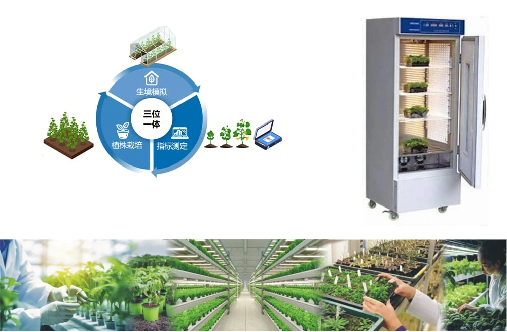 Bioassay Cultivation Matrix