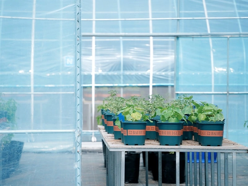 Smart Greenhouse System