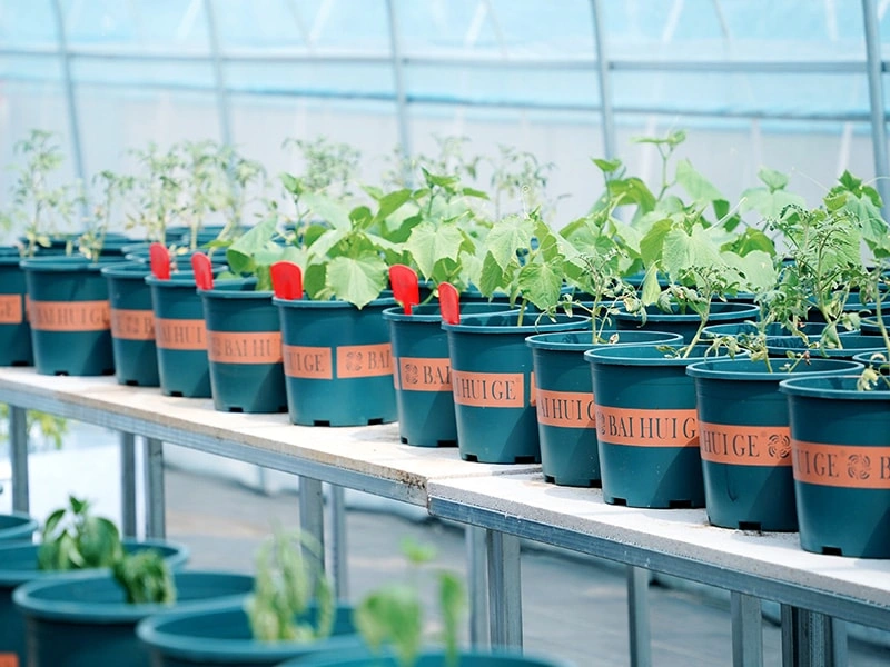 Smart Greenhouse System