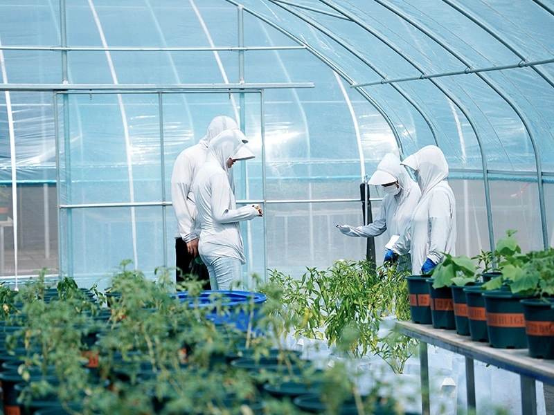 Smart Greenhouse System