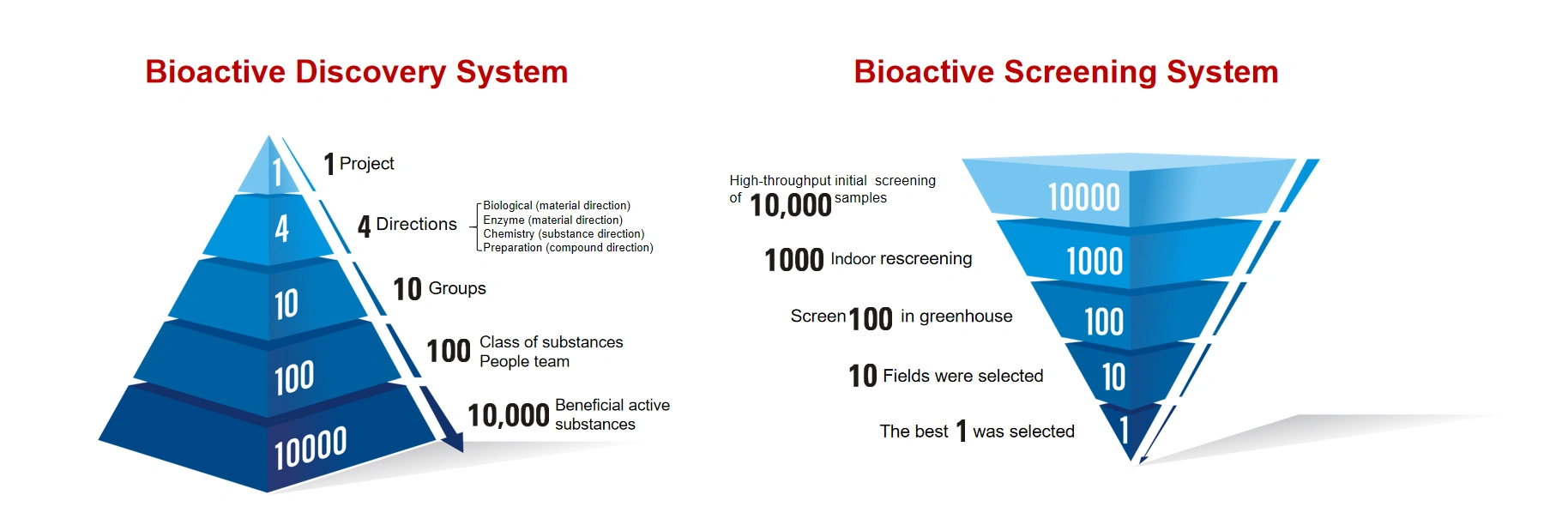 High-Throughput Screening Platform