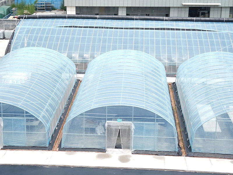 Smart Greenhouse System