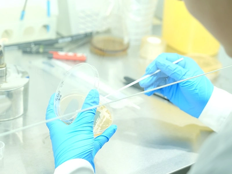 High-Throughput Screening Platform