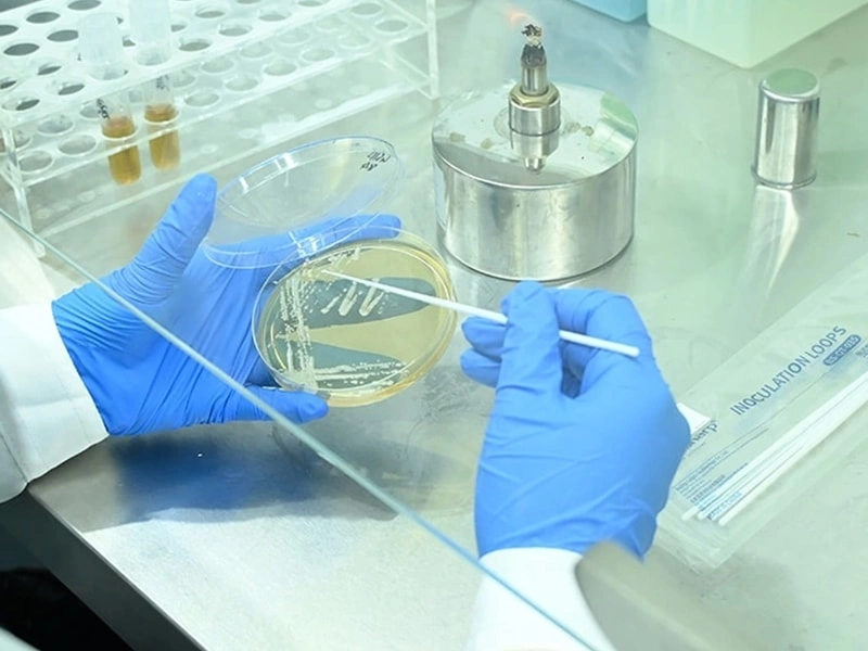 High-Throughput Screening Platform