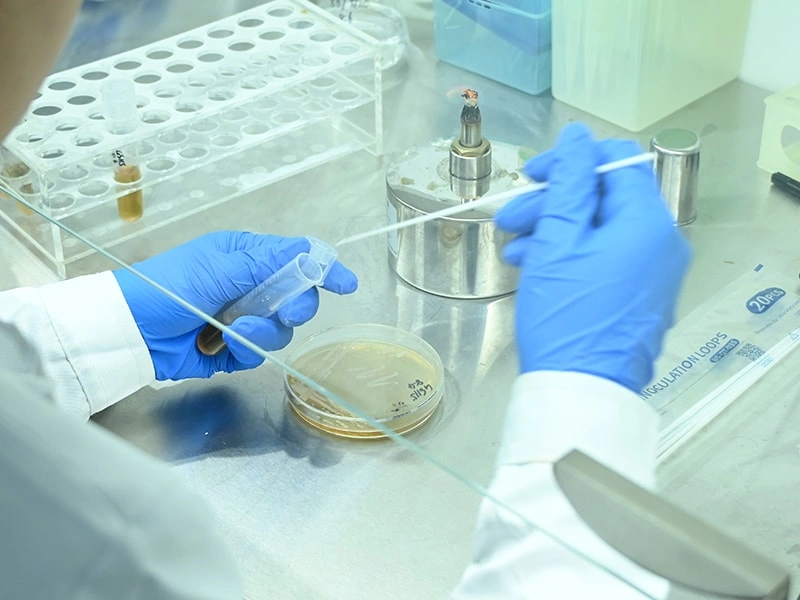 High-Throughput Screening Platform