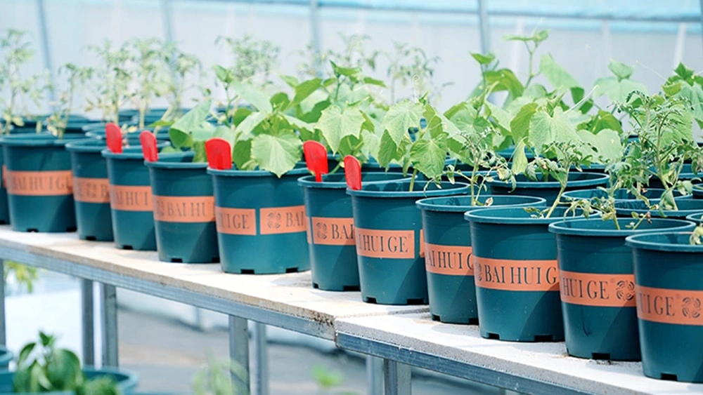 Smart Greenhouse System