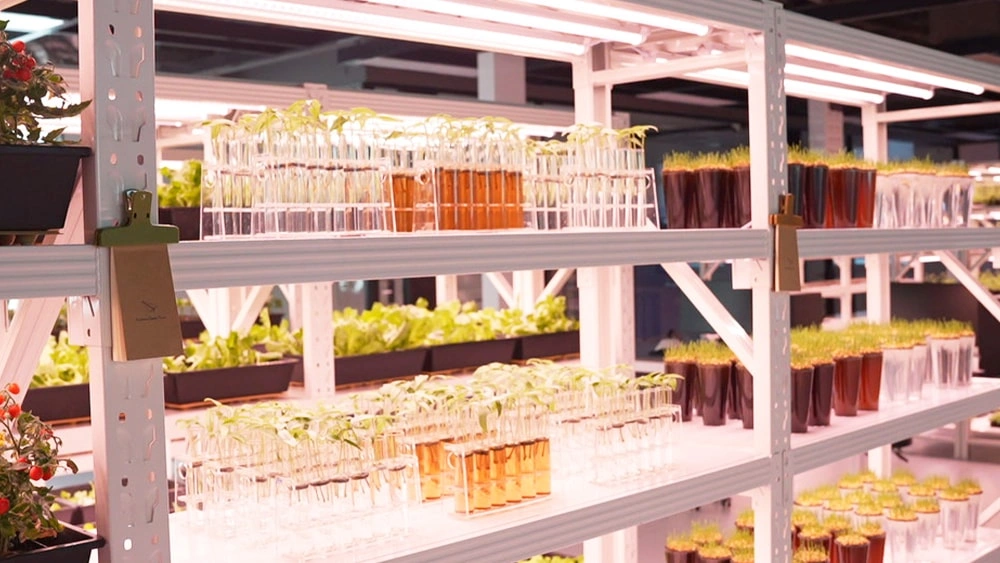 Bioassay Cultivation Matrix