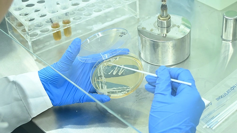 High-Throughput Screening Platform