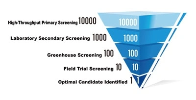 Bluesis&rsquo;s Dual Patents Lead Innovation in Seaweed Extraction Technology, Unlocking New Growth Potential in Agriculture with Alginate Oligosaccharides