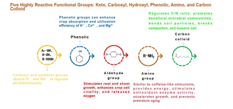 Technology Focus | Redefining Nutrient Efficiency with Small-Molecule Humic Acid Technology