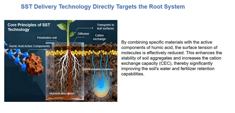 Technology Focus | Redefining Nutrient Efficiency with Small-Molecule Humic Acid Technology