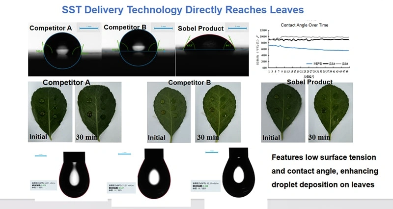 Technology Focus | Redefining Nutrient Efficiency with Small-Molecule Humic Acid Technology