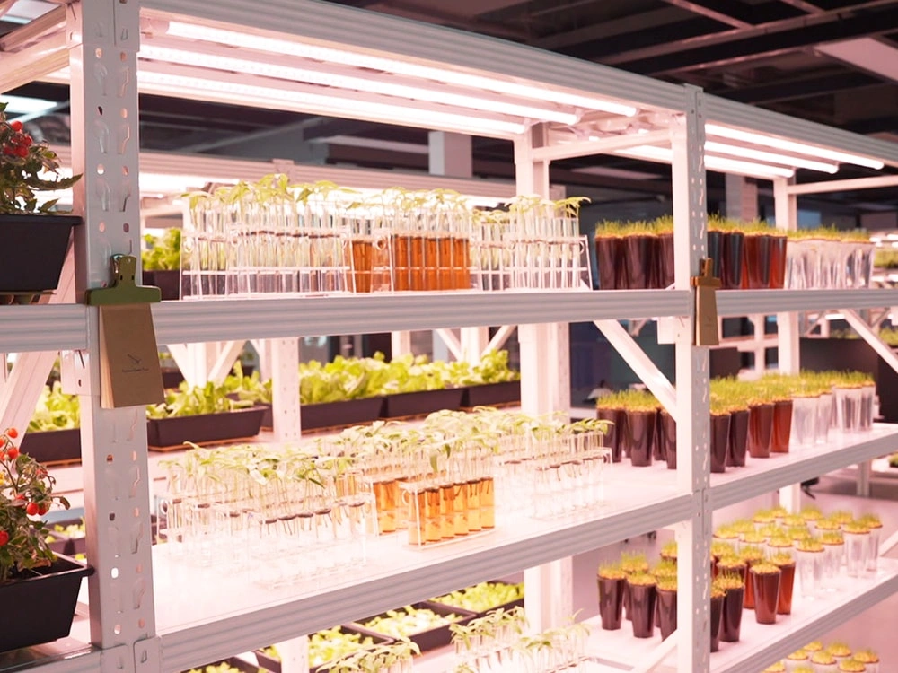 Bioassay Cultivation Matrix 